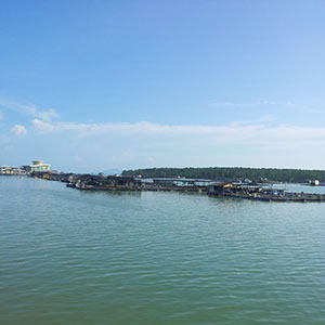Morning Sea View at Kukup Resort